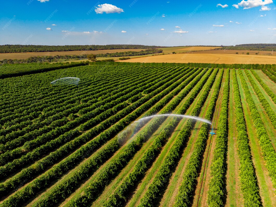 Canalización de Riego Agrícola